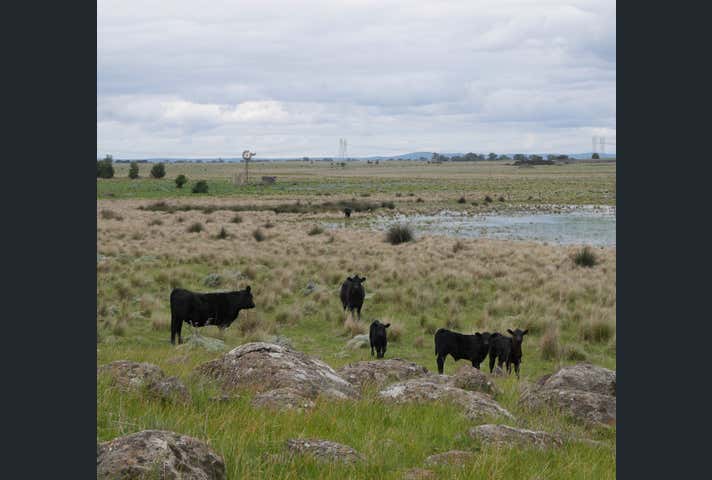 490 Craigieburn Road Wollert VIC 3750 - Image 3