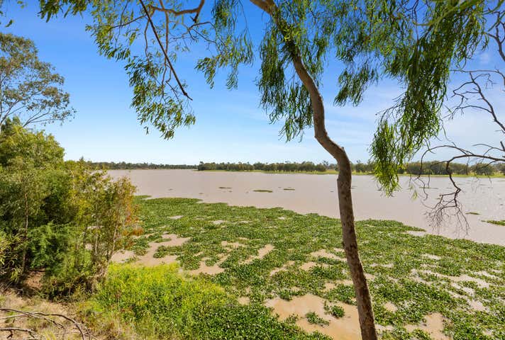 113 Pink Lily Road Pink Lily QLD 4702 - Image 4