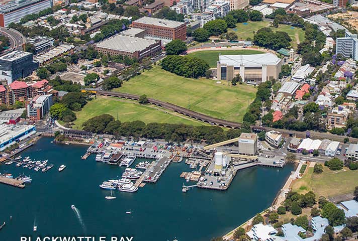 1 & 2/22 Bridge Road Glebe NSW 2037 - Image 7