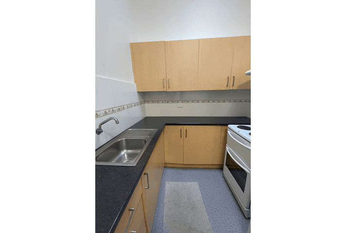 133 Ramsay Street Haberfield NSW 2045 - Image 7