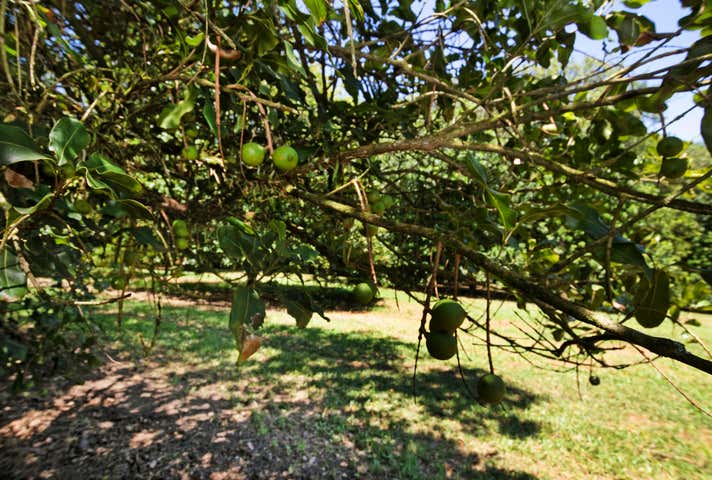 Paradise, 384 Eureka Road Eureka NSW 2480 - Image 7