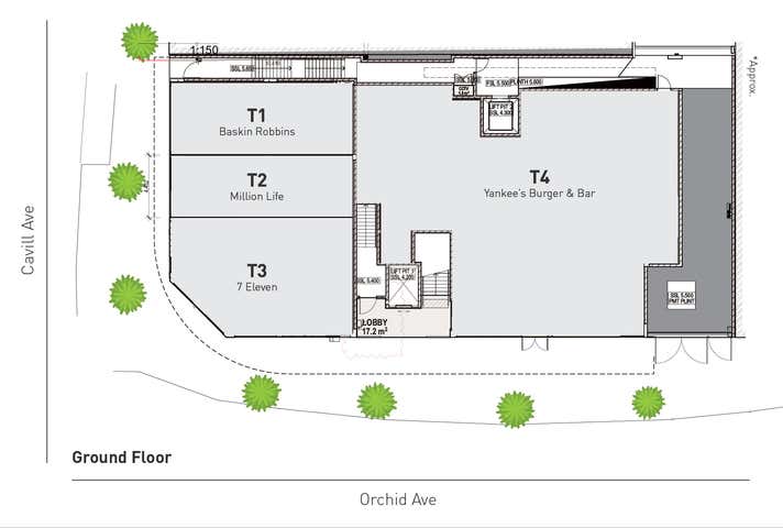 4 Orchid Avenue Surfers Paradise QLD 4217 - Image 10