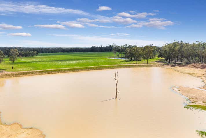 234 Fitzgibbon Rd Longlea VIC 3551 - Image 6