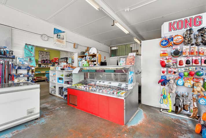 297 Autumn Street Newtown VIC 3220 - Image 5