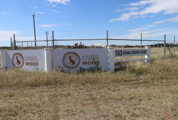 163 Roma Downs Road Roma QLD 4455 - Image 33