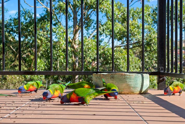 36 Tobruk Avenue Cremorne NSW 2090 - Image 5