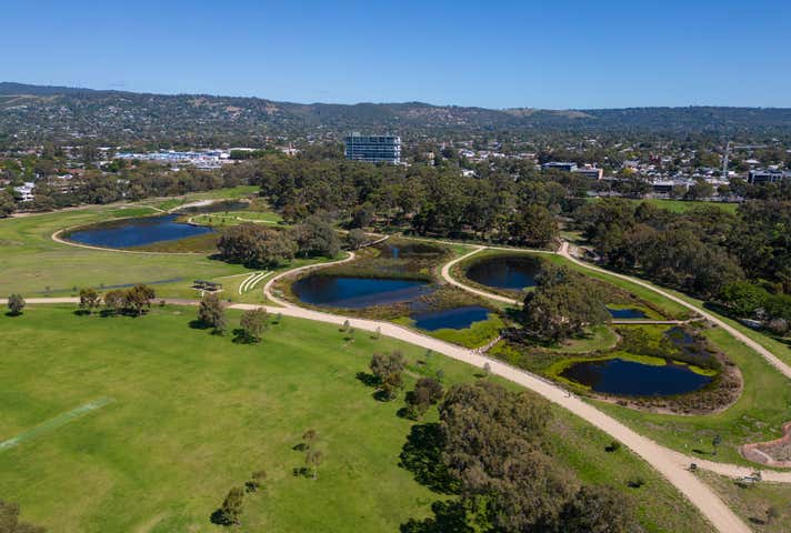 148 Fullarton Rd Rose Park SA 5067 - Image 24