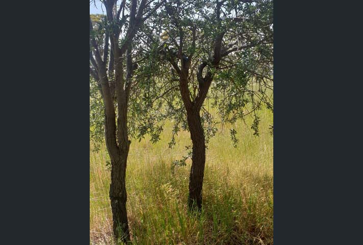 38 Avoca Road Morbinning WA 6304 - Image 10