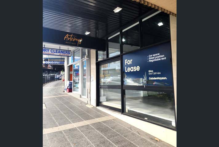 336 Homer Street Earlwood NSW 2206 - Image 1