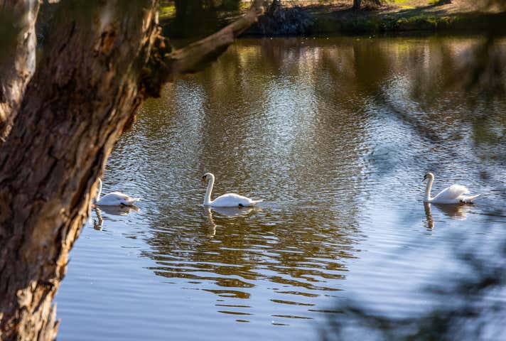 47 Wellington Street East Northam WA 6401 - Image 24