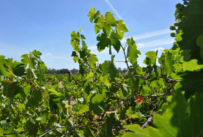 18L Camp Road Dubbo NSW 2830 - Image 18