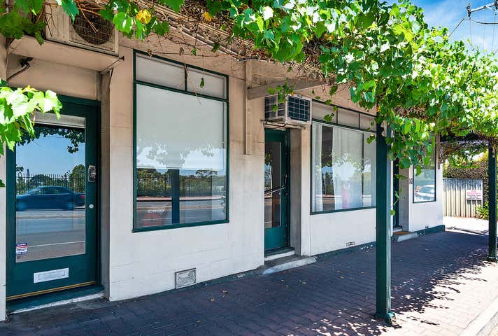 144-146 Springbank Road Torrens Park SA 5062 - Image 3