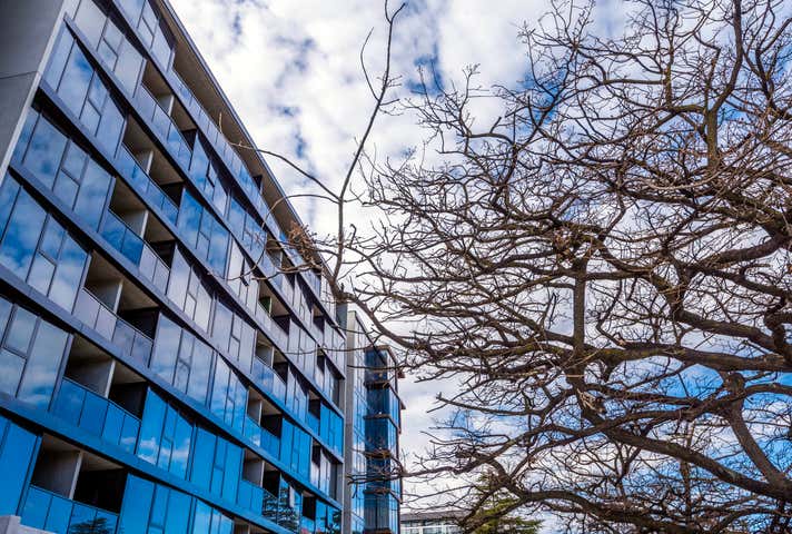 Midnight, 07/1 Elouera Street Braddon ACT 2612 - Image 4