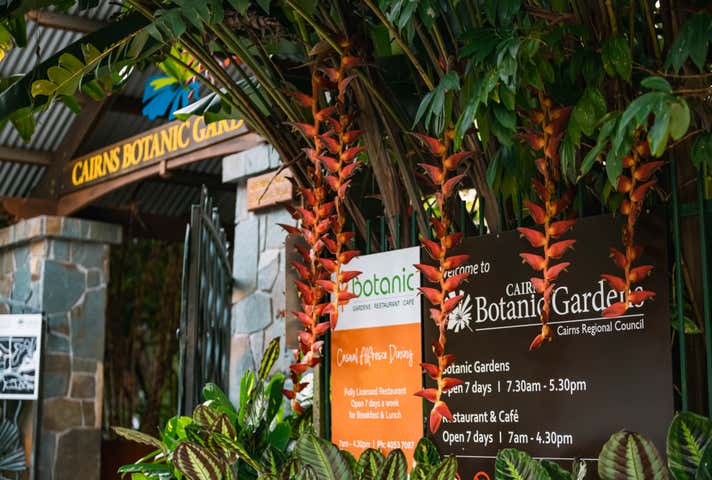 120 Collins Avenue Edge Hill QLD 4870 - Image 4