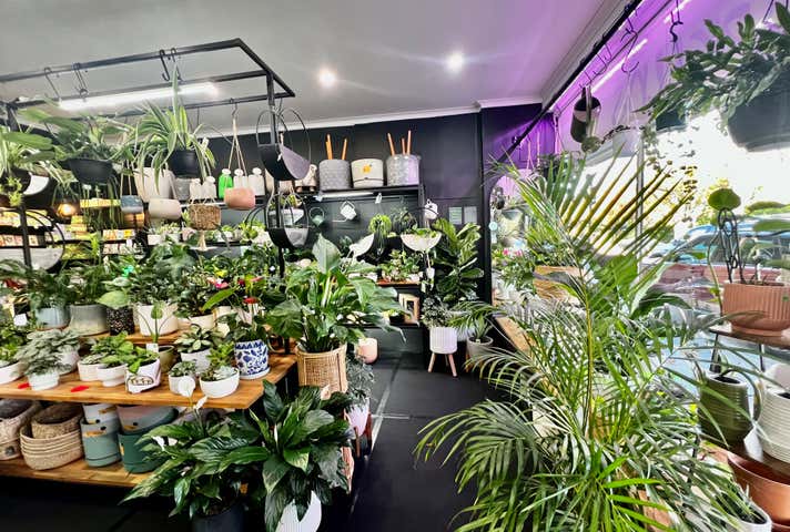 131 Were Street Brighton VIC 3186 - Image 3