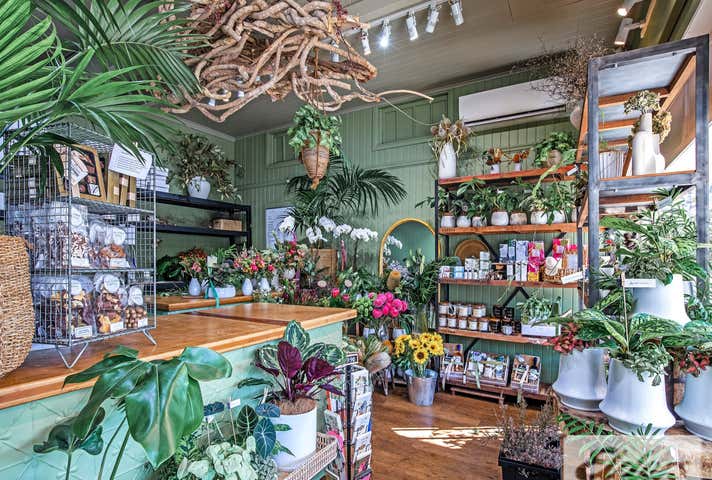 196 Newmarket Road Wilston QLD 4051 - Image 3