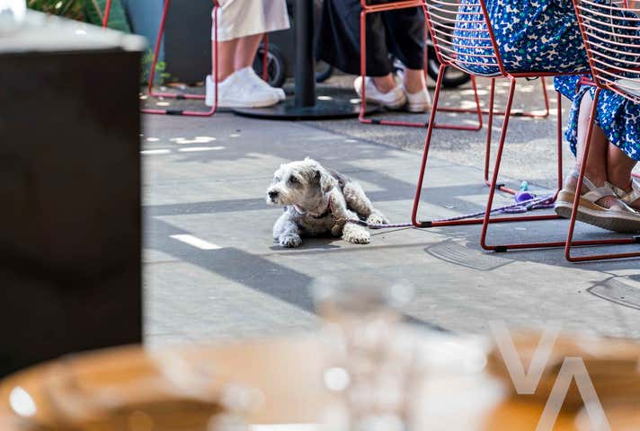 E2/1 Honeysuckle Drive Newcastle NSW 2300 - Image 10