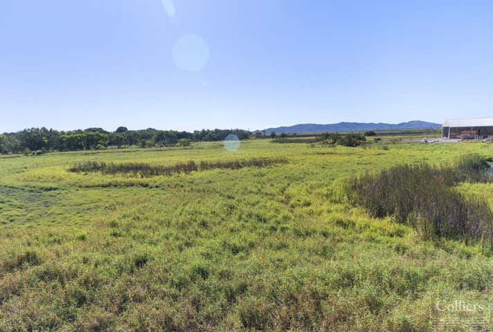 19 Duckworth Street Garbutt QLD 4814 - Image 10