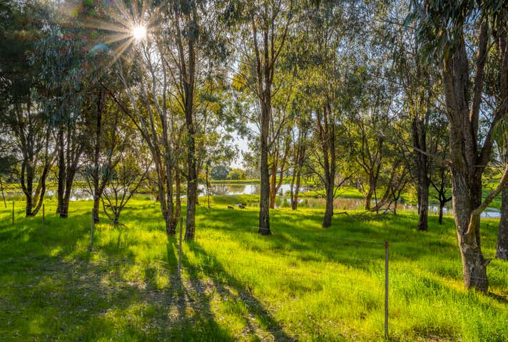 185 Kywanna Road and 57 Wedgetail Way Wirlinga NSW 2640 - Image 10