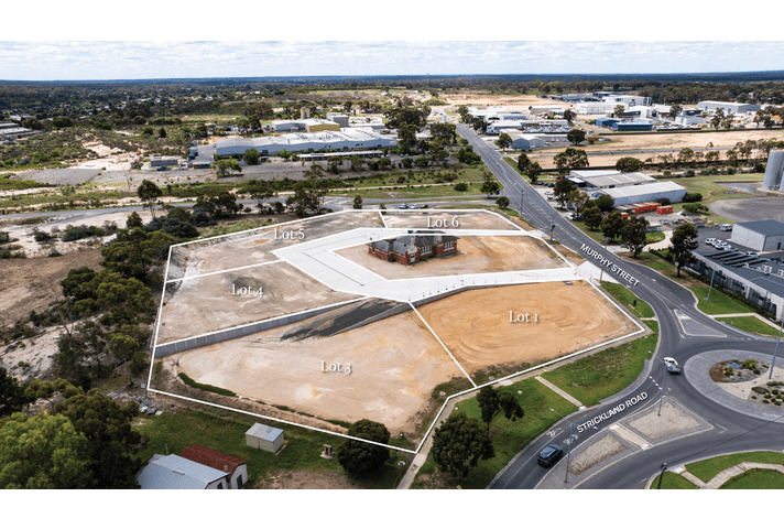 93 Strickland Road East Bendigo VIC 3550 - Image 4