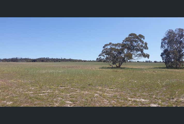 38 Avoca Road Morbinning WA 6304 - Image 4