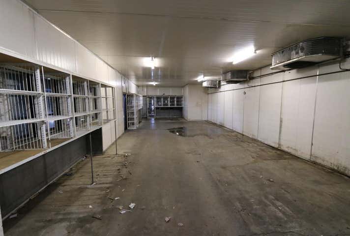 13 Dry Street Launceston TAS 7250 - Image 9