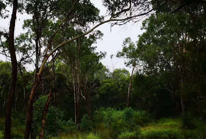 Vineyard NSW 2765 - Image 2