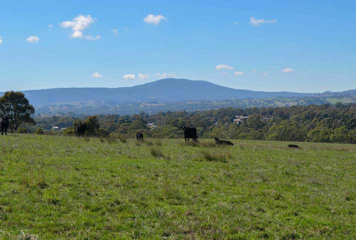 879 Broadford-Kilmore Road Broadford VIC 3658 - Image 11