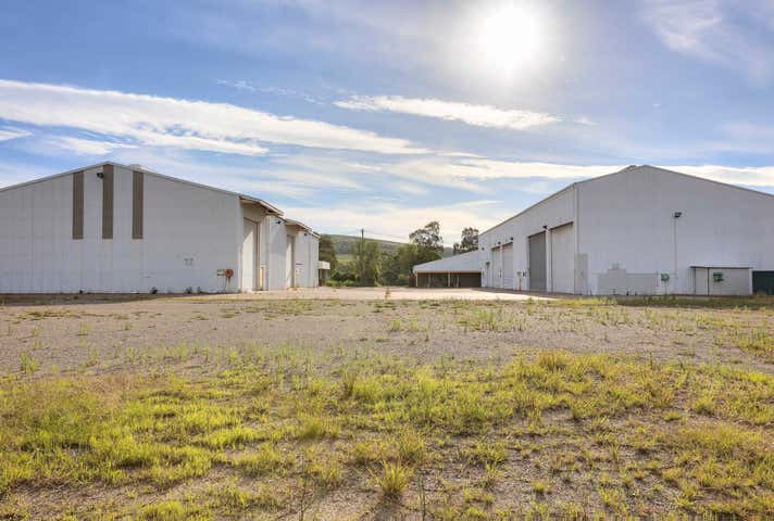 21 Thomas Mitchell Drive Muswellbrook NSW 2333 - Image 3