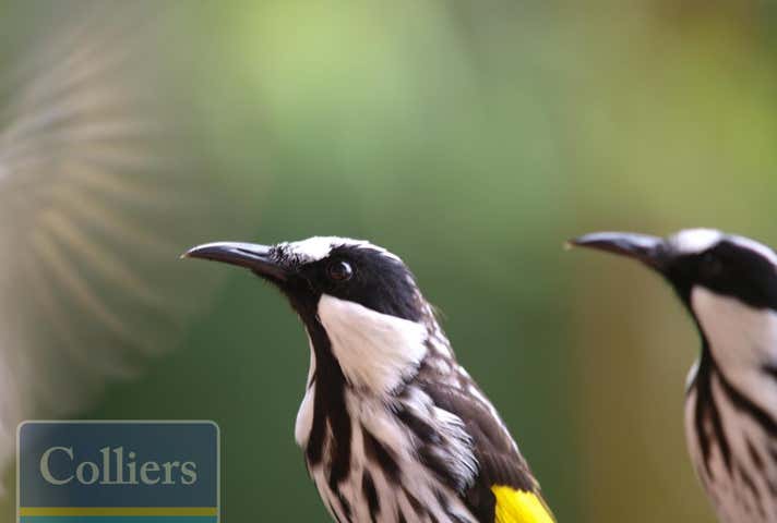 67 McLennan Road Paluma QLD 4816 - Image 28