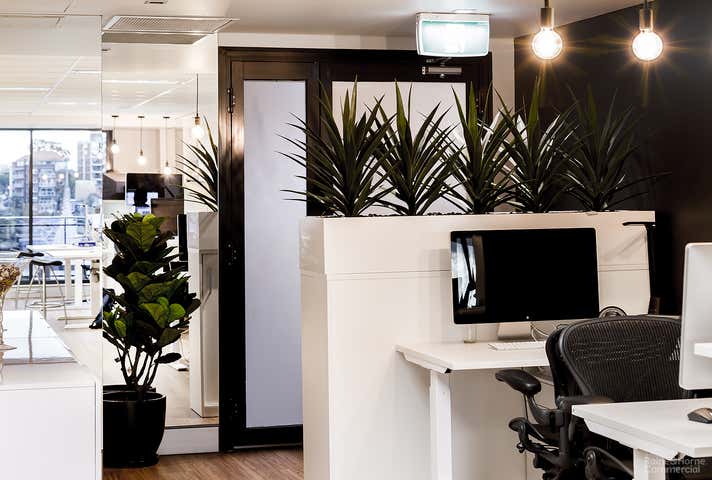 6a Glen Street Milsons Point NSW 2061 - Image 6