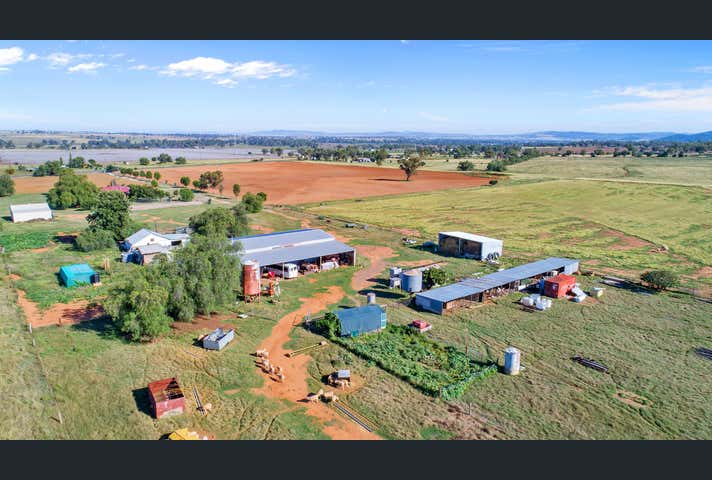 1148 Manilla Road Hallsville NSW 2340 - Image 8