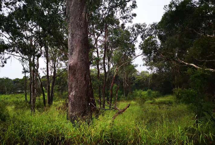 Vineyard NSW 2765 - Image 4