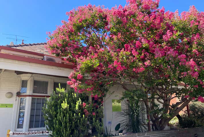 678 High Street Thornbury VIC 3071 - Image 2