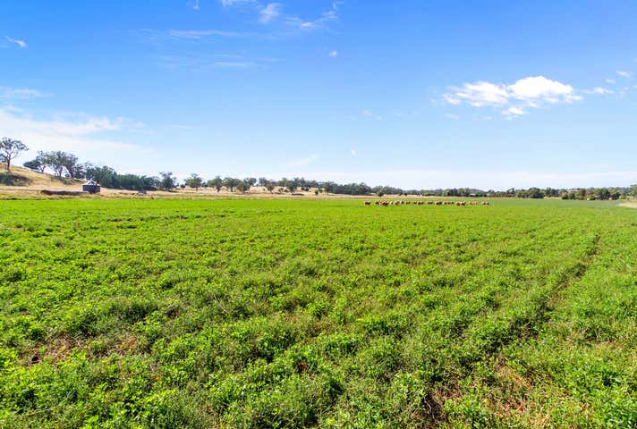 1148 Manilla Road Hallsville NSW 2340 - Image 13