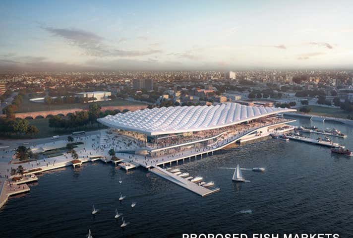 22A Bridge Road Glebe NSW 2037 - Image 9