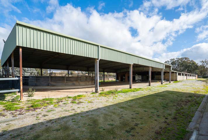 46 Racecourse Road Thurgoona NSW 2640 - Image 9