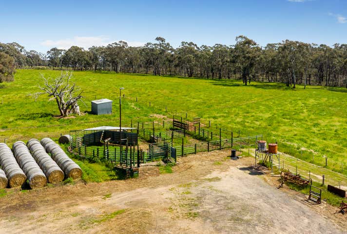 234 Fitzgibbon Rd Longlea VIC 3551 - Image 7