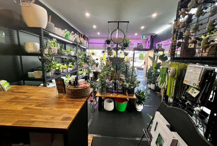 131 Were Street Brighton VIC 3186 - Image 6