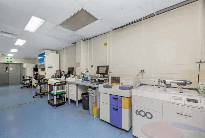 13 Carlton Street Kirwan QLD 4817 - Image 7