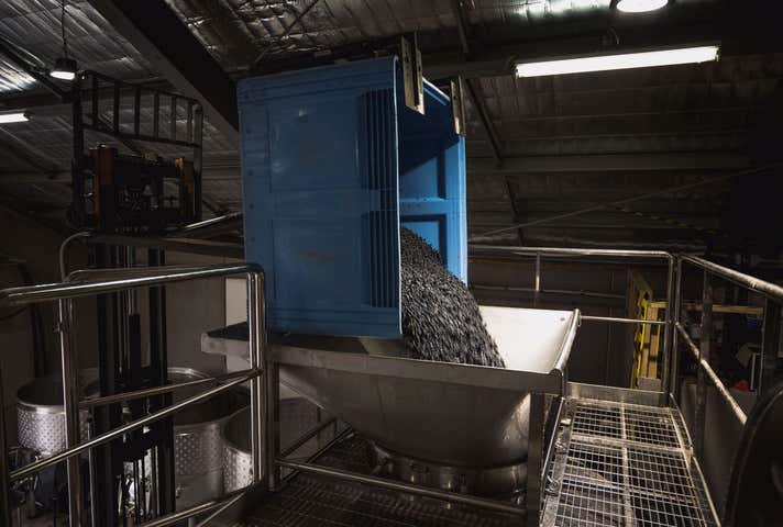 6 Maddens Lane Coldstream VIC 3770 - Image 15