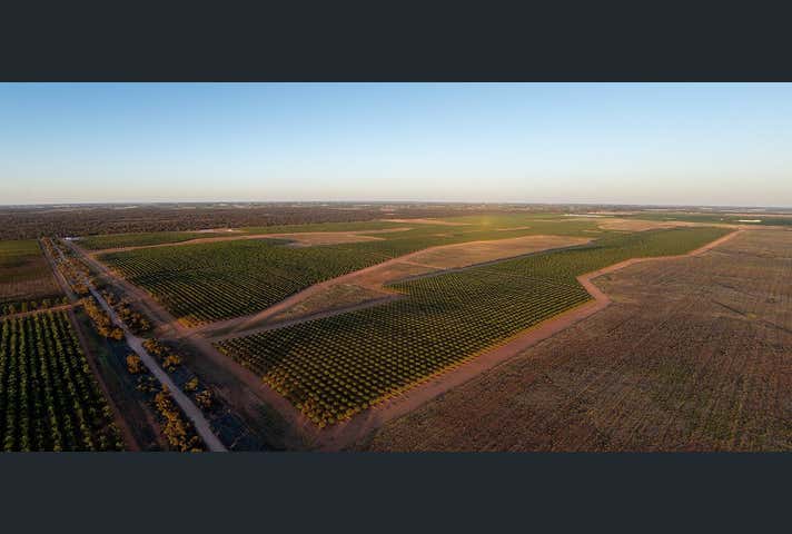 Commercial Farming & Rural Property For Sale in Ouyen, VIC 3490