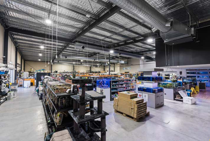 12 Innovation Close Taylors Beach NSW 2316 - Image 5