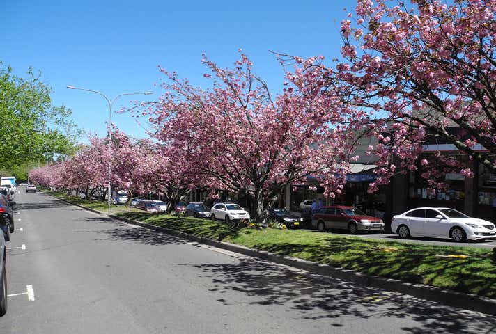 144 Leura Mall Leura NSW 2780 - Image 9