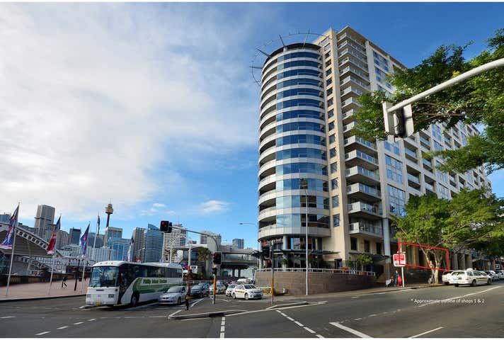 Shop 1 & 2, 50 Murray Street Pyrmont NSW 2009 - Image 2