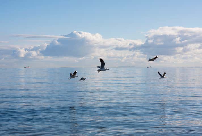 415 Nepean Highway Chelsea VIC 3196 - Image 16