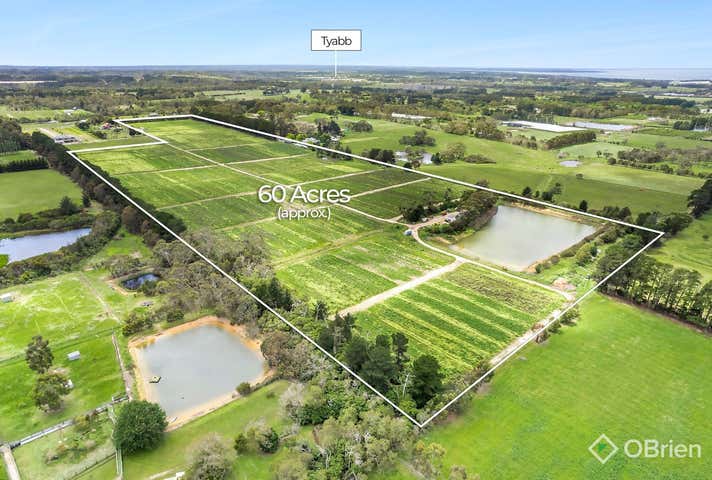 95 Graydens Road Hastings VIC 3915 - Image 4