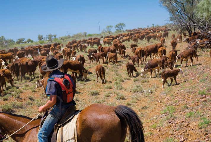 57 Darwin Street Jericho QLD 4728 - Image 15