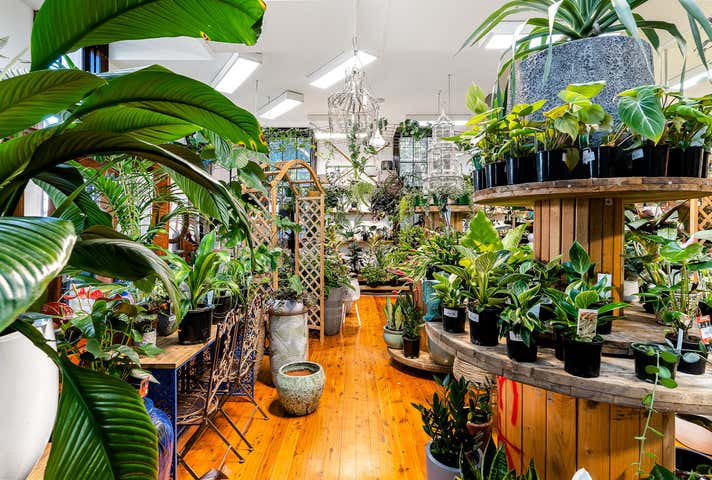 661 Darling Street Rozelle NSW 2039 - Image 5