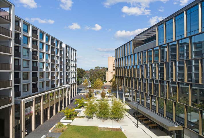 DKSN, G04, 19 Challis Street Dickson ACT 2602 - Image 16